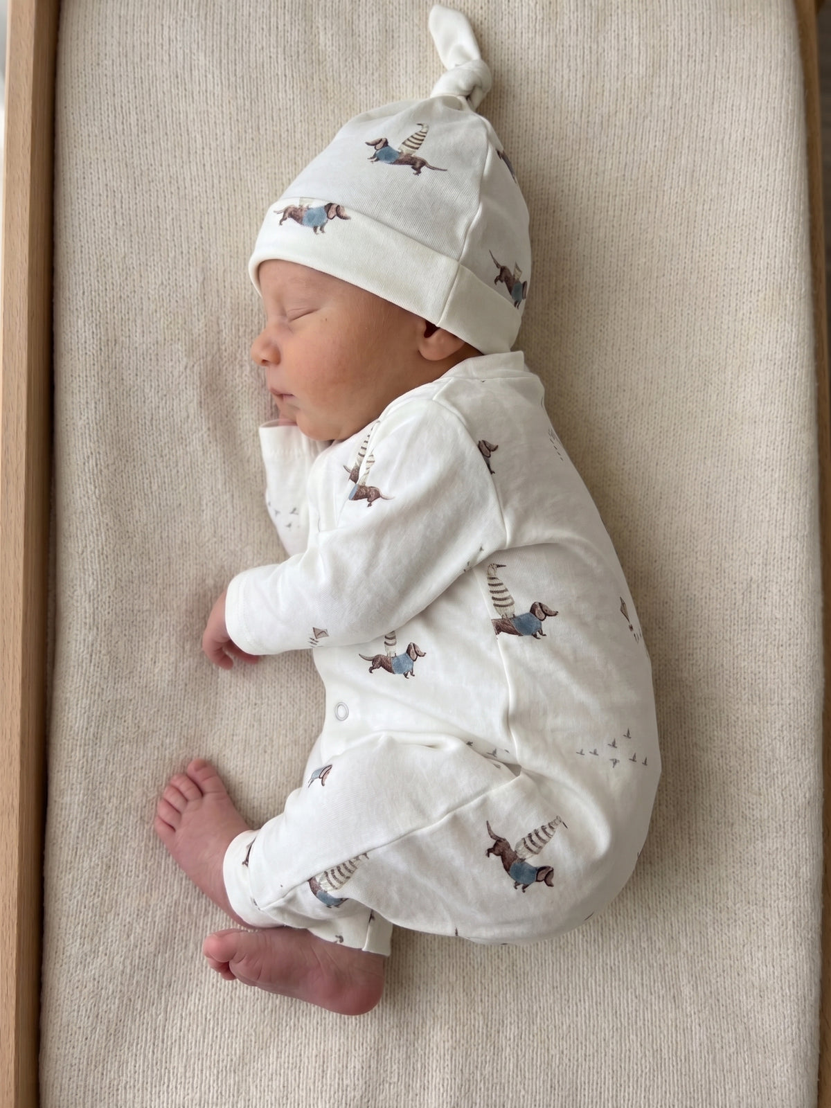 Baby boxpakje Dachshund Duck met teckel en gans print, met zorg handgemaakt in het atelier van Barefoot Baby.