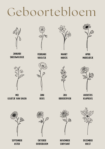 Geboortebloemen overzicht ter keuze voor gepersonaliseerd LED-lampje